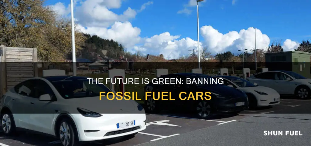 why should we ban fossil fuel cars