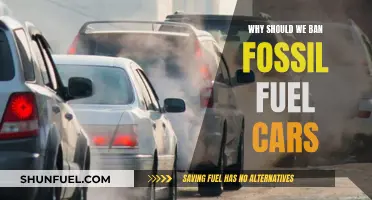 Ban Fossil Fuel Cars: Our Health, Our Future