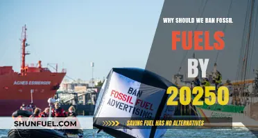 Urgent Action Needed: Ban Fossil Fuels by 2050 to Save Our Planet