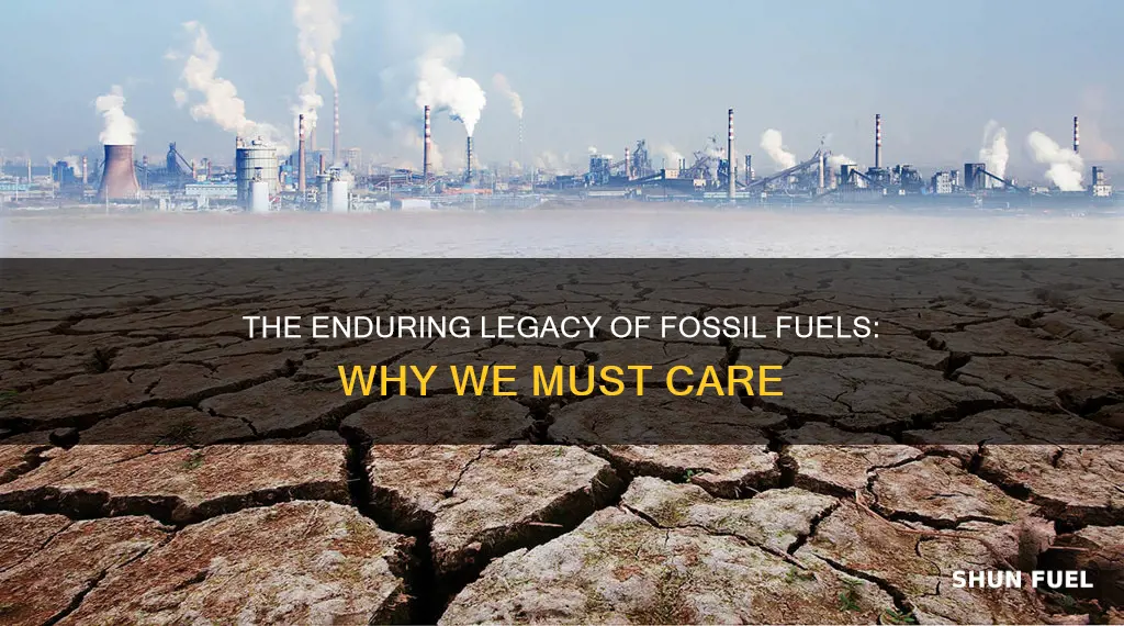 why should we care about fossil fuels