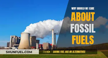 Fossil Fuels: Our Future at Stake