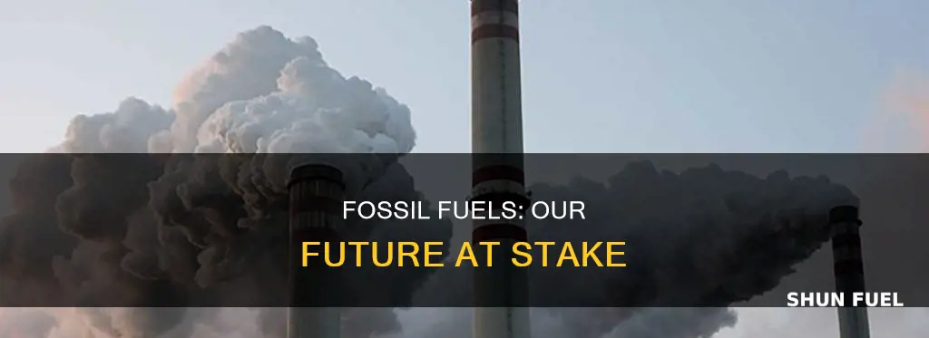why should we care about fossil fuels
