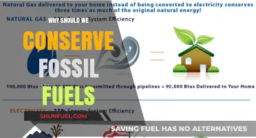 Conserving Fossil Fuels: Securing Energy, Environment, and Future Generations