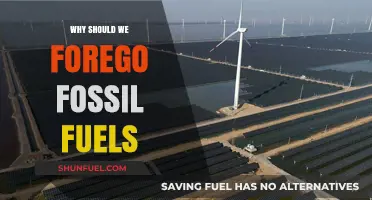 Ditching Fossil Fuels: A Sustainable Path to a Greener Future