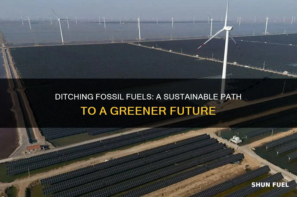 why should we forego fossil fuels