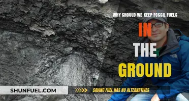 Protect Our Planet: Keep Fossil Fuels Buried for a Sustainable Future