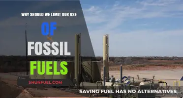 Reducing Fossil Fuel Dependence: A Path to a Sustainable Future