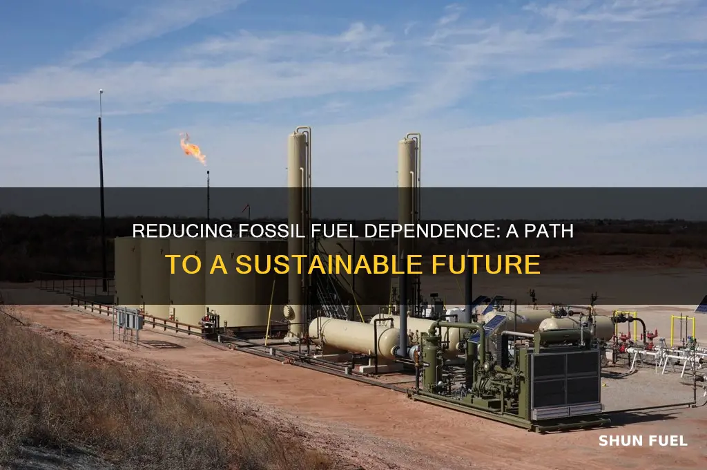 why should we limit our use of fossil fuels