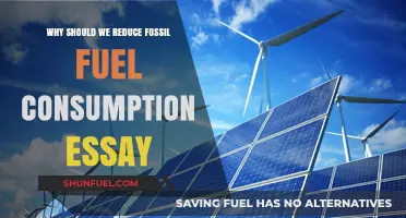 Cutting Fossil Fuels: Urgent Reasons to Embrace Cleaner Energy Alternatives