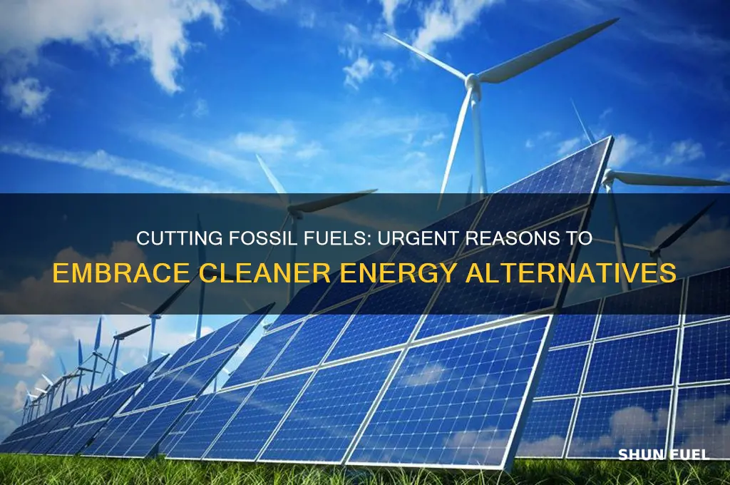 why should we reduce fossil fuel consumption essay