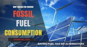 Cutting Fossil Fuels: Urgent Steps for a Sustainable Future
