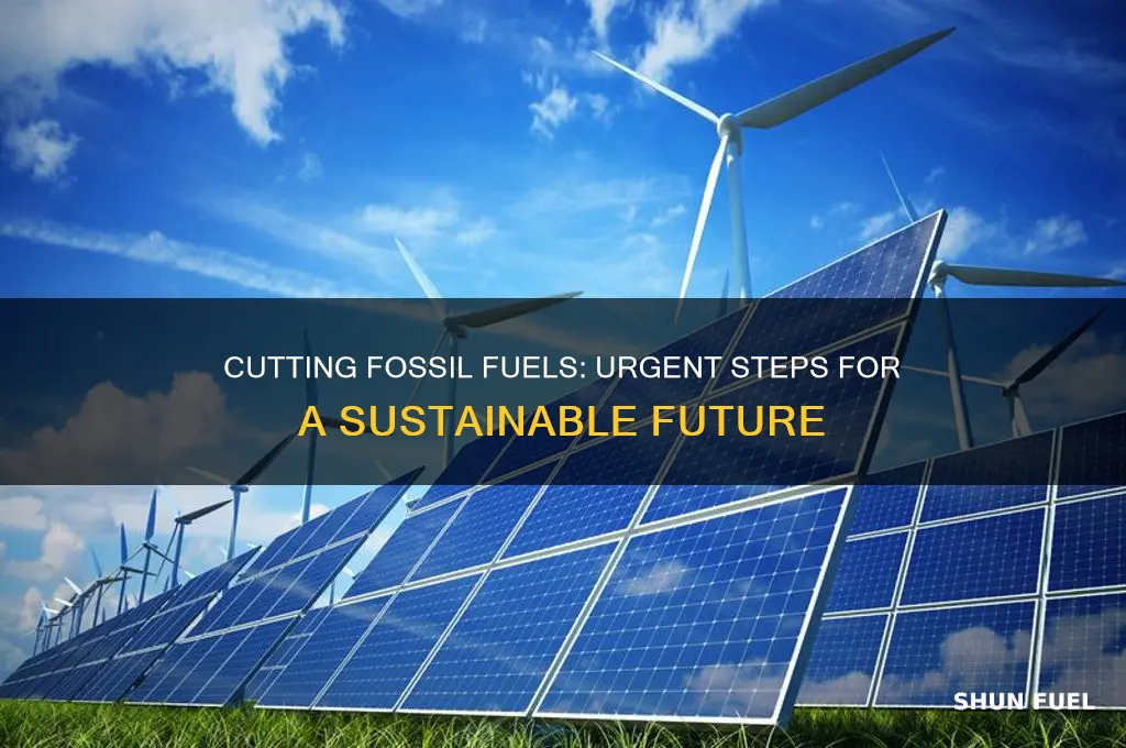 why should we reduce fossil fuel consumption