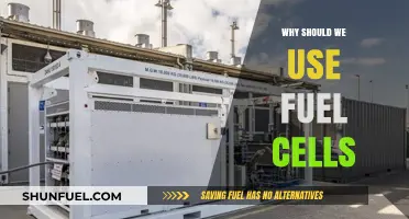 Fuel Cells: Clean, Efficient, and Sustainable Energy Solutions for Tomorrow
