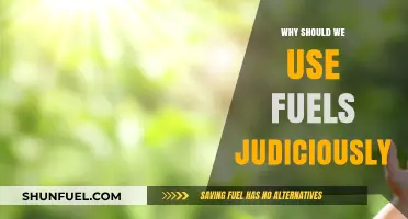 Conserve Fuels Wisely: Securing a Sustainable Future for Generations