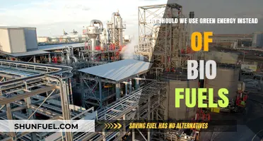 Green Energy vs. Biofuels: Sustainable Power for a Greener Future