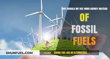 Harnessing Wind Power: A Sustainable Alternative to Fossil Fuels