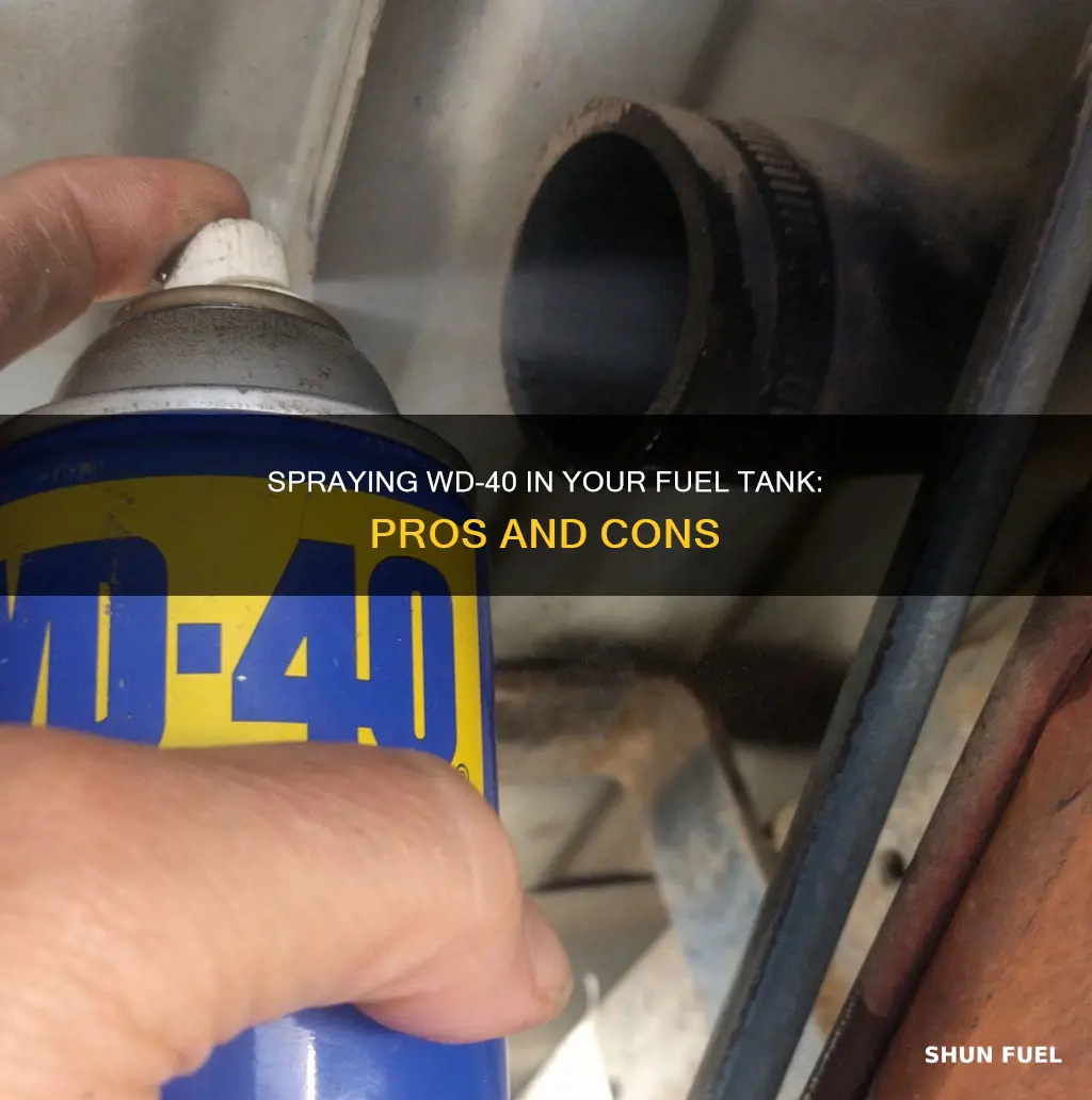 why spray wd40 in your fuel tank