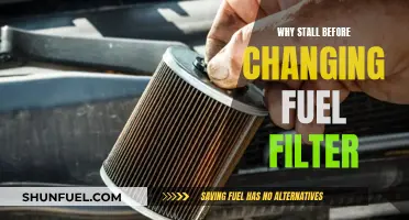 Stalling Issues: Fuel Filter Change Can't Wait