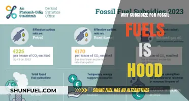 Fossil Fuel Subsidies: A Harmful Policy Undermining Our Climate Future