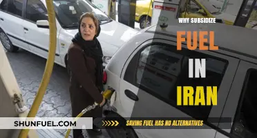 Economic Implications of Fuel Subsidies in Iran: A Critical Analysis