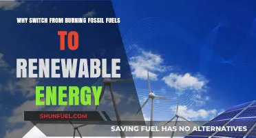 Shift to Renewables: Why Ditch Fossil Fuels for a Sustainable Future