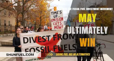 Fossil Fuel Divestment: A Winning Strategy for a Sustainable Future