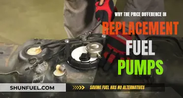 Fuel Pump Replacement: Why the Price Difference?