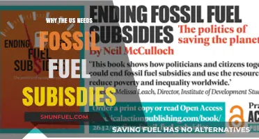 Why the US Needs Fossil Fuel Subsidies: A Necessary Evil?