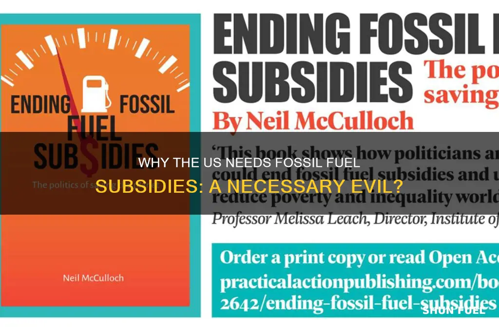 why the us needs fossil fuel subisdies