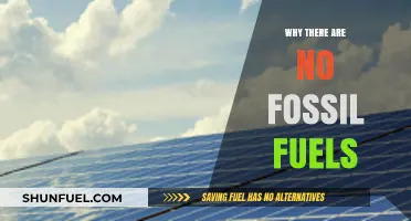 The Myth of Fossil Fuels: Uncovering the Renewable Energy Truth