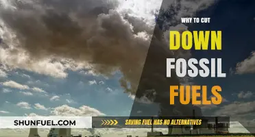 Cutting Fossil Fuels: A Urgent Path to a Sustainable Future