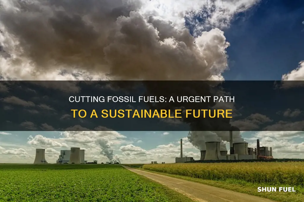why to cut down fossil fuels