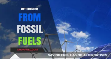 Transitioning Beyond Fossil Fuels: A Sustainable Path for Our Planet