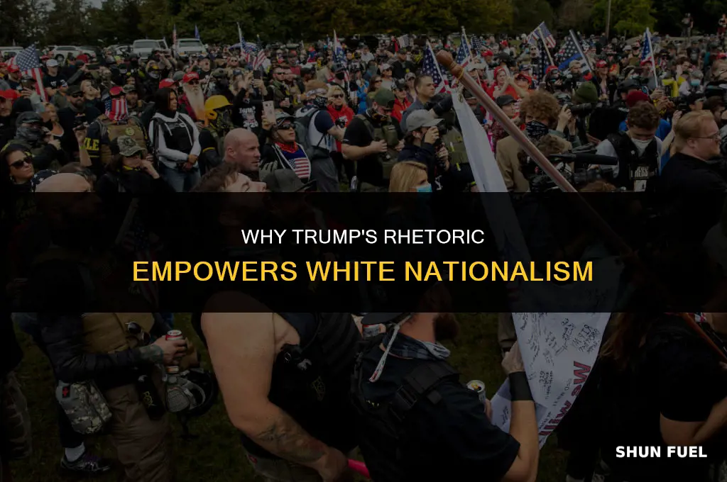why trump fuels natzis