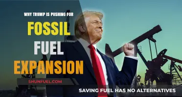 Trump's Fossil Fuel Push: Economic Strategy or Environmental Setback?