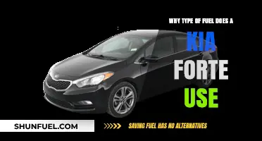 Kia Forte Fuel Type: Gasoline, Efficiency, and Performance Explained
