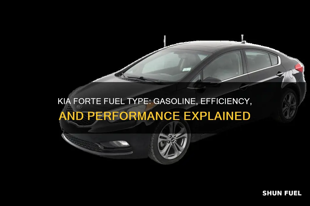 why type of fuel does a kia forte use