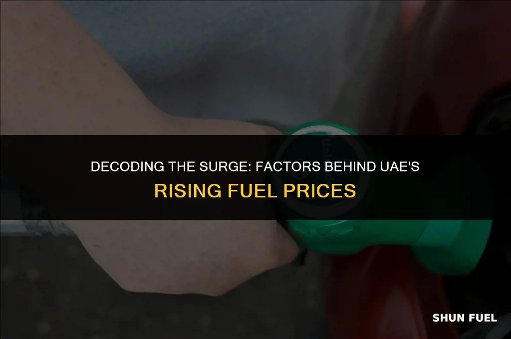 why uae fuel price increase