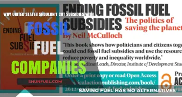 Ending Fossil Fuel Subsidies: Why the U.S. Should Reconsider