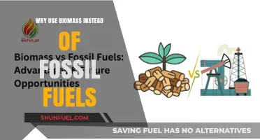 Biomass vs. Fossil Fuels: Sustainable Energy for a Greener Future