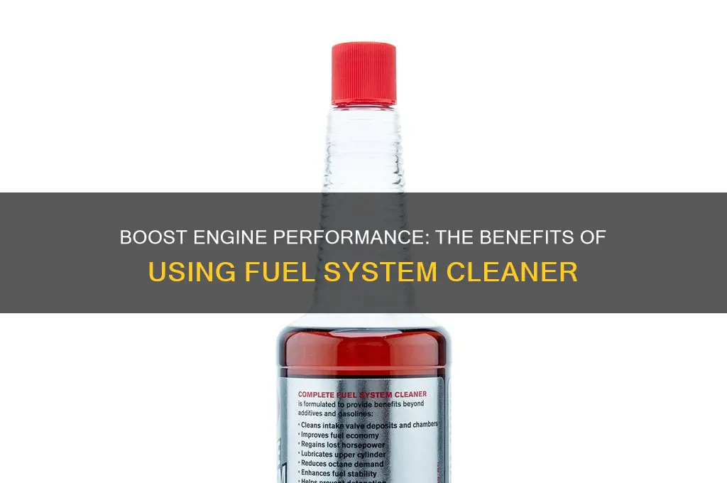 why use fuel system cleaner