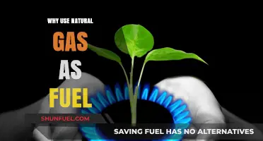 Natural Gas: Clean, Efficient, and Reliable Fuel for Modern Energy Needs