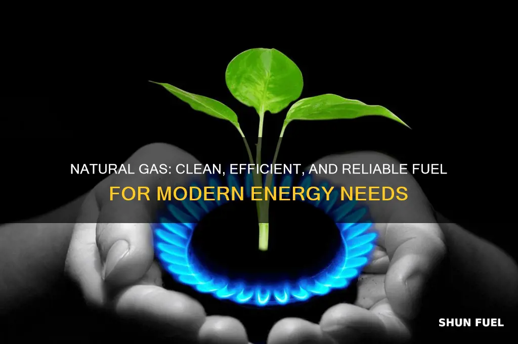 why use natural gas as fuel