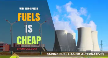 The Hidden Economics: Why Fossil Fuels Remain a Cheap Energy Choice