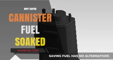 Unveiling the Mystery: Why Vapor Canister Fuel Soaked?