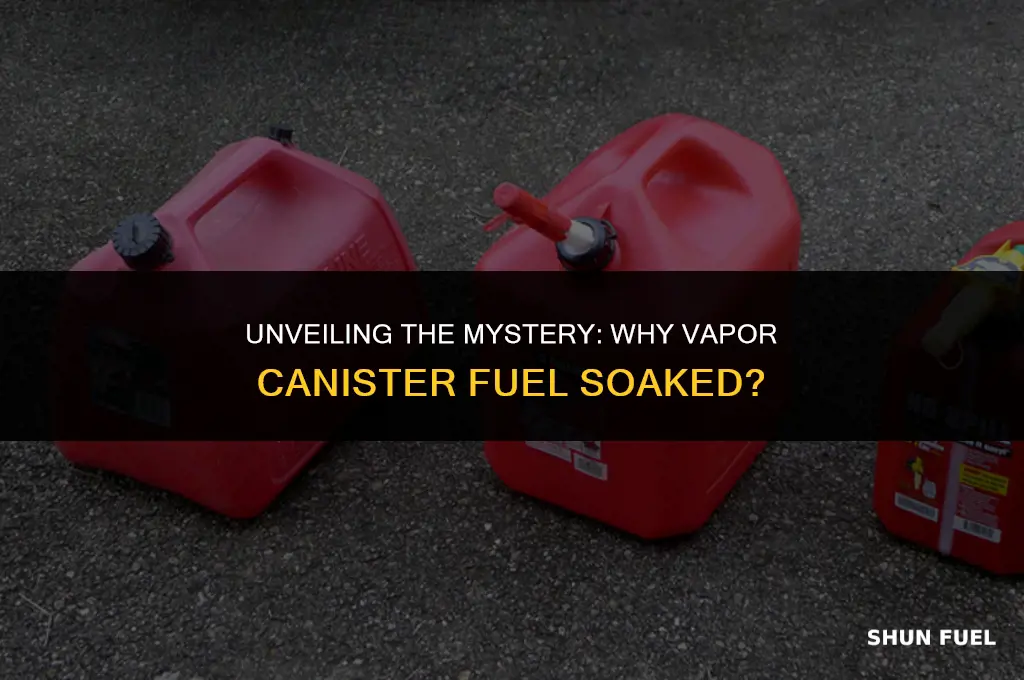 why vapor cannister fuel soaked