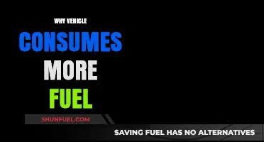 Why Your Vehicle Might Be Consuming More Fuel Than Usual