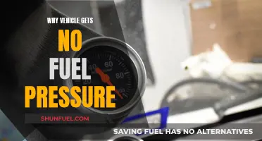 Troubleshooting No Fuel Pressure in Vehicles