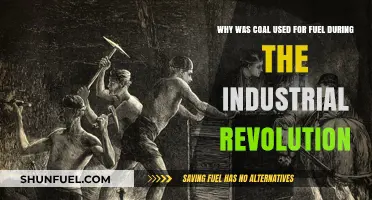 Coal's Role: Powering the Industrial Revolution's Economic Transformation