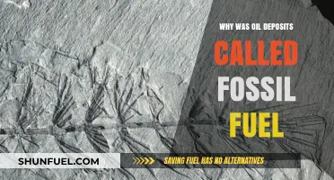 Why Oil Deposits Are Called Fossil Fuels: Uncovering Ancient Origins